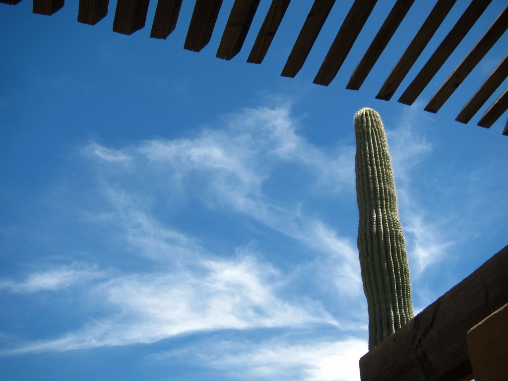 The weather has turned around in Scottsdale